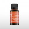 Santal 2
