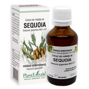 extract gemoterapic din mladite de sequoia plantextrakt earome